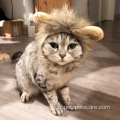 Chat Chapeau Habillage Costume Adorables Lion Crinière